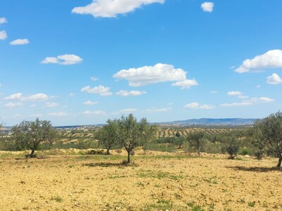 Terrain à vendre pour tranquillité à Hammamet sud