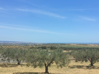 Réaliser votre construction en plein verdures et vue de mer