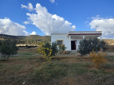 Maison à vendre à Hammamet Yasmine Avec vue de verdures