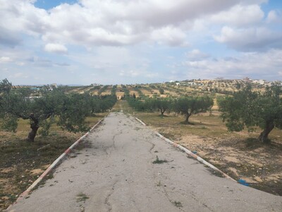 Terrain à vendre à Hammamet yasmine Besbassia