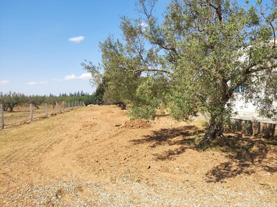 à vendre maison à Hammamet el besbassia
