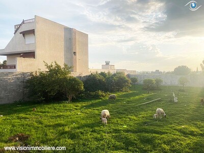 Vente Terrain Gardénia Hammametcentre