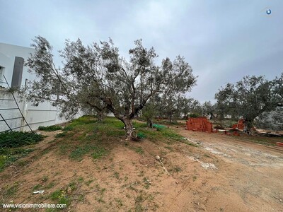 Vente terrain le LIN Hammametnord