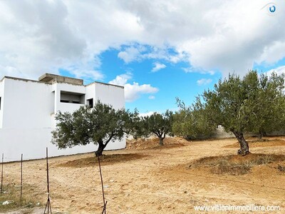 Vente Terrain Jaune Hammametnord