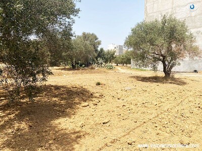 Vente Terrain Yassmine Hammametnord