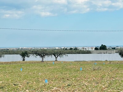 Terrain à vendre avec vue mer légère