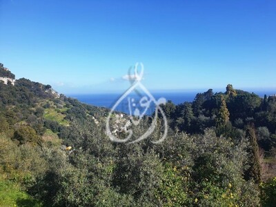 5000M² à Hammamet Centre