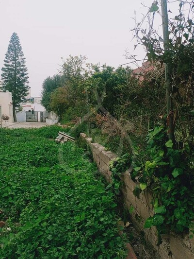 Deux lots à bâtir à Hammamet Zone Corniche
