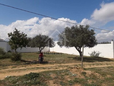 Un superbe terrain à vendre à Hammamet à 80 MD