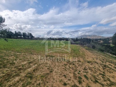 Terrain de 1 hectare à vendre à 170 MD