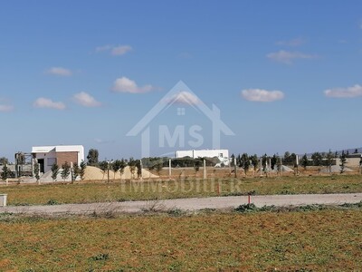 Terrain de 557 m² à vendre à 90 MD à Hammamet Sud