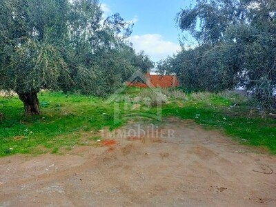 Un terrain de 500 m² à vendre à 135 MD