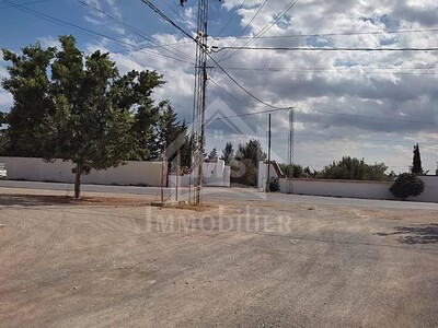 Un terrain de 500 m² à Hammamet à vendre à 90 MD