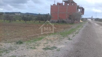Terrain de 1000 m² à vendre à Hammamet Sud à 150 MD