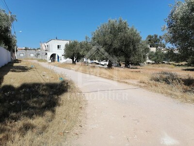 Superbe terrain de 500 m² à Birbourgba à vendre à 200 MD