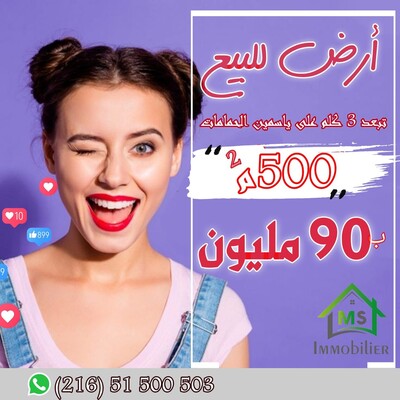 Un terrain de 500 m² à vendre à 90 MD à Hammamet