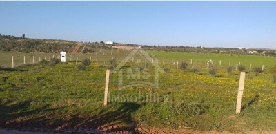 Un terrain de 1000 m² à vendre à 85 MD à Sidi Hammed