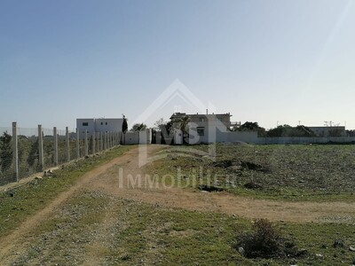 Superbe terrain à vendre à 90 MD à Hammamet Sud