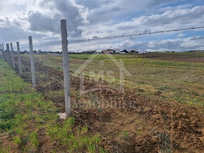 Un superbe terrain de 1 hectare à vendre à 170 MD