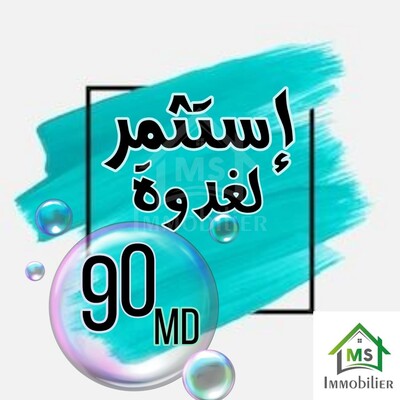 Terrain de 500 m² à vendre à 3 km de Yasmine Hammamet
