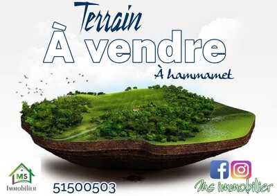 A vendre un terrain de 1000 m² à à 180 MD à Hammamet