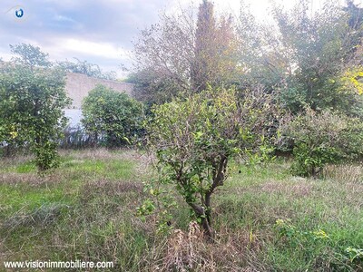 Vente Terrain Tournesol Hammametcentre