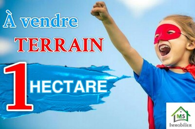 Terrain de 1 hectare sur la route à vendre à 170 MD