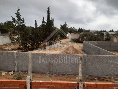 A vendre à Hammamet Zone Craxi un terrain de 200 m² à 100 MD