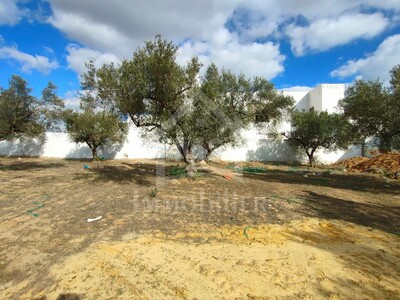 Terrain de 220 m² à vendre à Mrezga à 120 MD