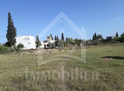 Lot de terrain à vendre à 530 DT m² à Hammamet