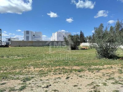 Un superbe terrain à vendre à Sidi Hammed à 500 dtm²
