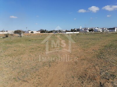 A vendre un lot de terrain de 258 m² à 55 MD