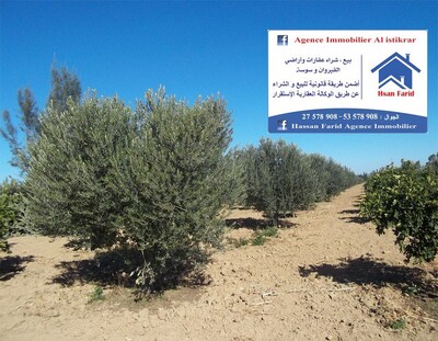 للبيع سانية صغيرةبالقيروان