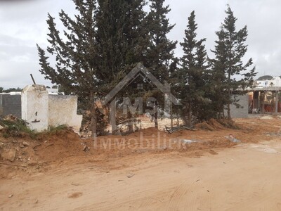 A vendre à 200 MD à Hammamet Zone Craxi un terrain à 100 MD