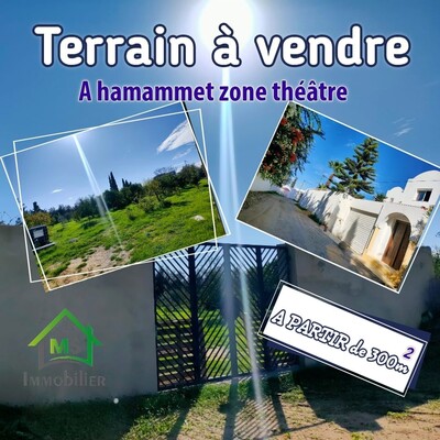 A vendre à zone théâtre de Hammamet des lots de terrain de 300 m²