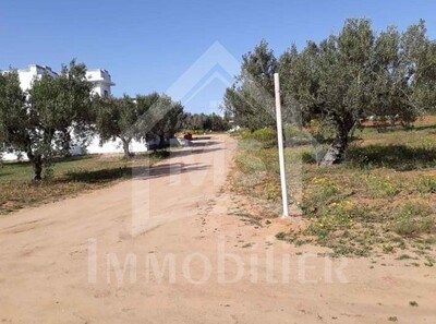 Un terrain à vendre à Hammamet deux lots de terrain à 530 dtm²