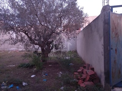 Terrain de 500 m² à vendre à Sidi Hammed à 300 dtm²