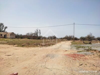 A vendre à 300 MD à Hammamet Sud un terrain de 505 m²