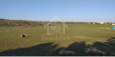 A vendre un terrain de 1000 m² à 85 MD