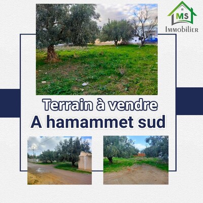 A vendre Hammamet Sud un terrain à 270 dt m²