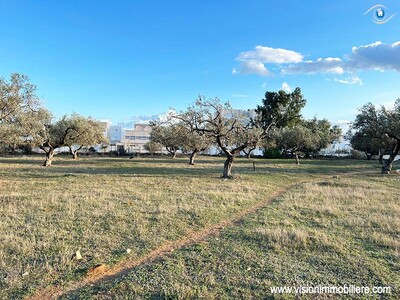 Vente Terrain Noisetier Hammametnord