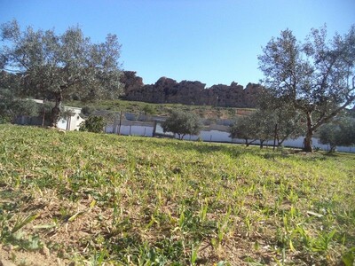 av terrain a monchar hammamet