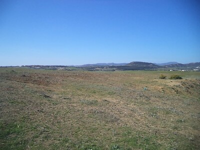 av terrain agricole a latrech hammamet