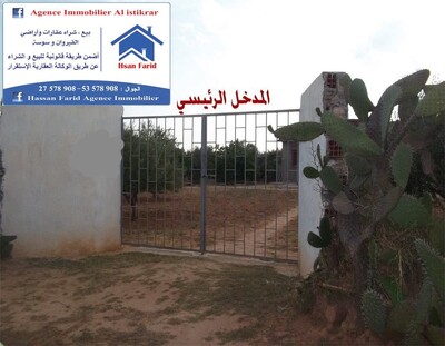 للبيع بالقيروان أرض فلاحية