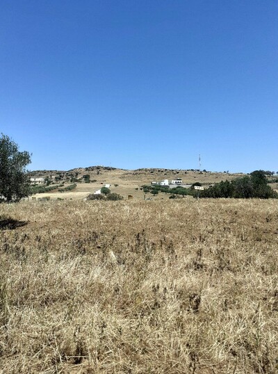 av terrain agricole de 3 hectares 150MD hectare