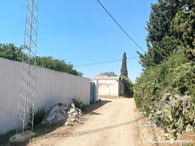 Vente Terrain Ibis Nabeul