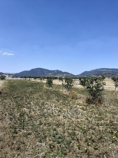 av terrain de 140md a hammamet sud