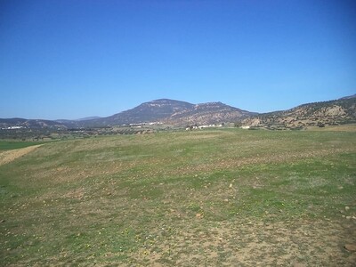av terrain agricole nue de 135md a hammamet