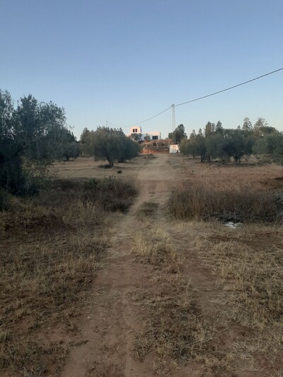 av terrain agricole de 15000m² a hammamet