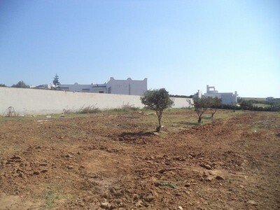 av terrain de 35md a monchar hammamet sud